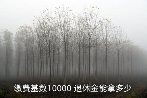 繳費基數(shù)10000 退休金能拿多少