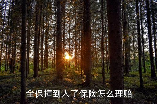  全保撞到人了保險(xiǎn)怎么理賠