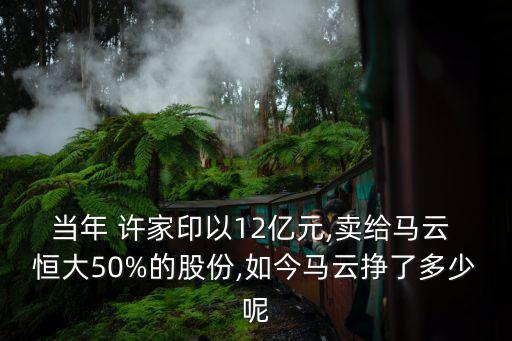 恒大許家印有多少錢,恒大老總許家印最新消息