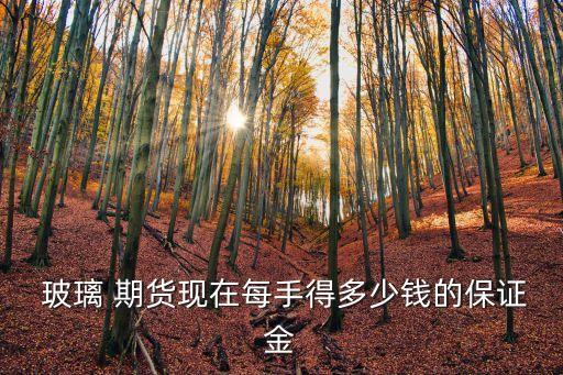  玻璃 期貨現(xiàn)在每手得多少錢的保證金
