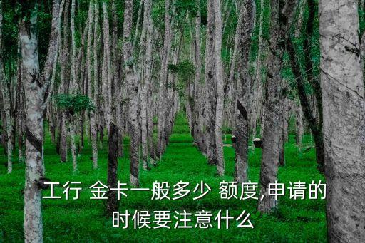  工行 金卡一般多少 額度,申請的時候要注意什么