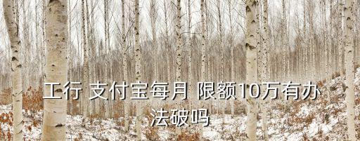  工行 支付寶每月 限額10萬有辦法破嗎