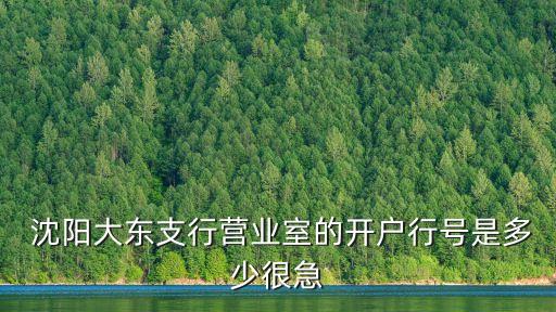 沈陽打東中國銀行電話號碼是多少,中國銀行沈陽市府廣場支行電話號碼