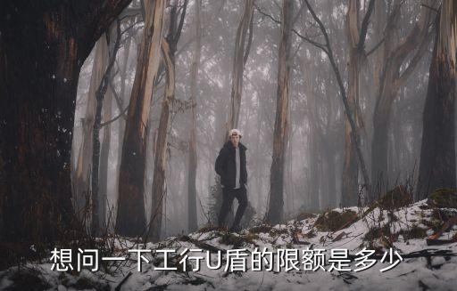 想問(wèn)一下工行U盾的限額是多少