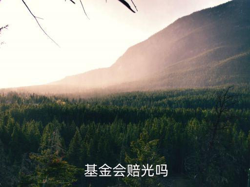 高風(fēng)險(xiǎn)基金會(huì)虧多少,1000元買(mǎi)基金會(huì)虧多少