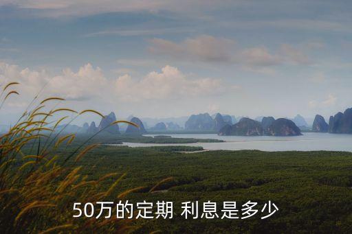 50萬的定期 利息是多少