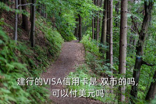 建行的VISA信用卡是 雙幣的嗎,可以付美元嗎