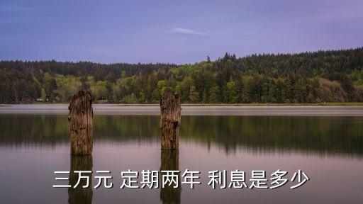 三萬元 定期兩年 利息是多少