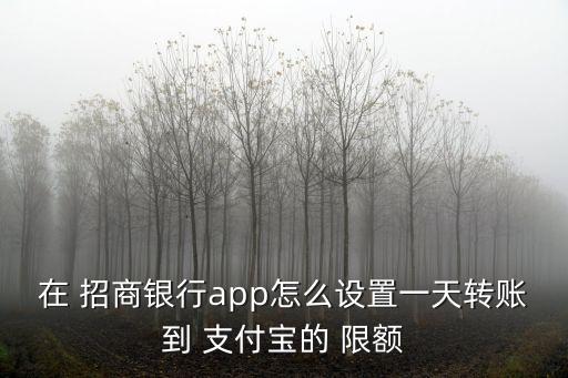 在 招商銀行app怎么設置一天轉賬到 支付寶的 限額