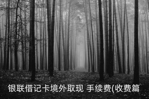銀聯(lián)借記卡境外取現(xiàn) 手續(xù)費(收費篇
