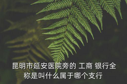 中國昆明工商銀行電話號碼多少,昆明工商銀行白云路支行電話號碼
