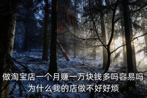 開網(wǎng)店月入多少錢,開一個(gè)網(wǎng)店需要多少錢的費(fèi)用