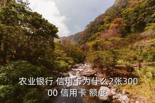 農(nóng)業(yè)銀行第二張信用卡額度多少錢啊