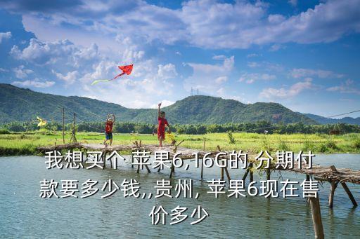 分期付款買(mǎi)蘋(píng)果貴多少錢(qián)一輛,蘋(píng)果14pro分期付款都貴嗎