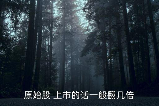 原始股 上市的話一般翻幾倍