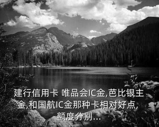 建行信用卡 唯品會IC金,芭比銀主金,和國航IC金那種卡相對好點(diǎn), 額度分別...