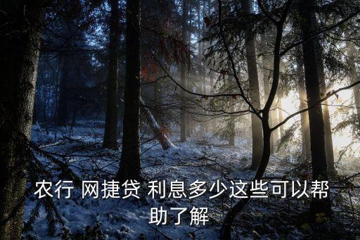 農(nóng)行網(wǎng)捷貸利息多少,網(wǎng)貸欠20萬自救方法