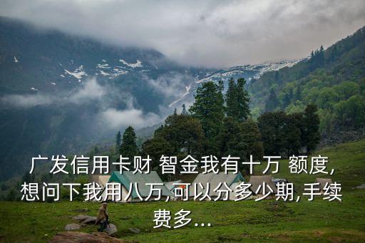 廣發(fā)財智金是多少額度嗎