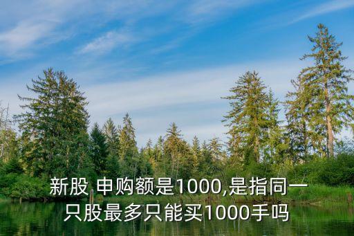 新股最多可以申購多少,新股要多少錢才能申購