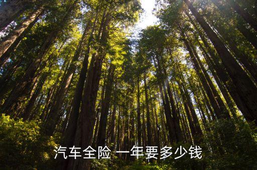 汽車全險 一年要多少錢