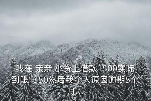 親親小貸借多少比較好