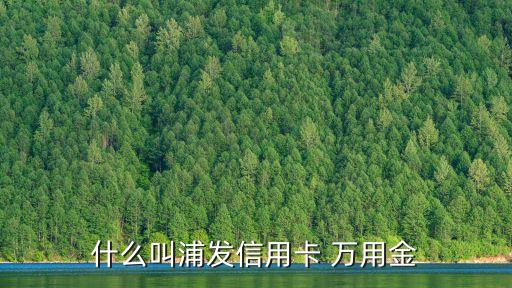 萬用金一般額度是多少