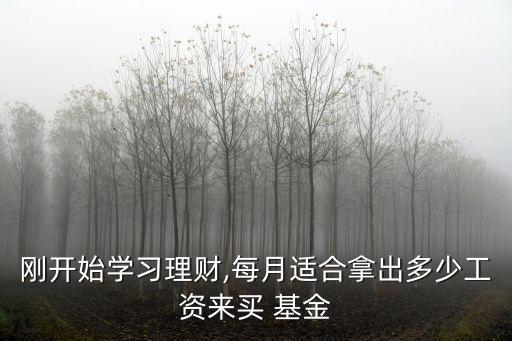 剛開始學(xué)習(xí)理財(cái),每月適合拿出多少工資來買 基金