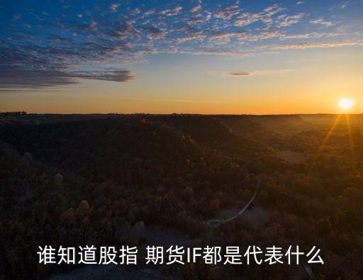 中金期貨多少杠桿,期貨一般都是多少倍杠桿