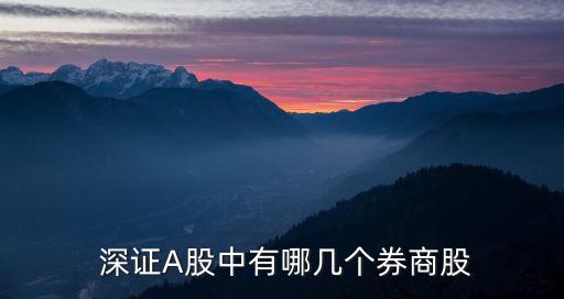  深證A股中有哪幾個券商股