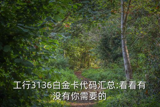 工行3136白金卡代碼匯總:看看有沒有你需要的