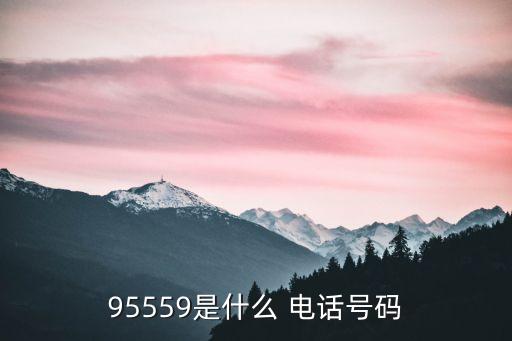 95559是什么 電話號碼