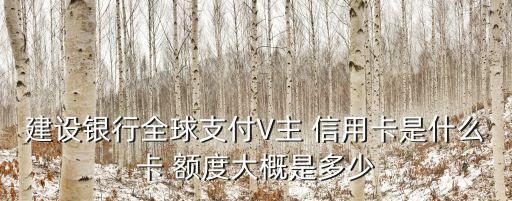 建設(shè)銀行全球支付V主 信用卡是什么卡 額度大概是多少