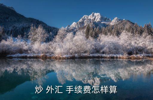 外匯匯款的手續(xù)費是多少,公司外匯匯入?yún)R款目前暫不收取手續(xù)費