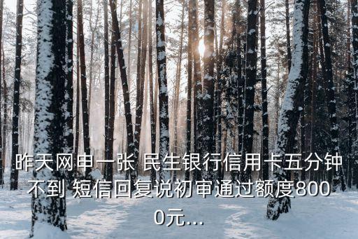 民生申請?zhí)犷~短信多少錢,民生提額短信回復(fù)YTZ