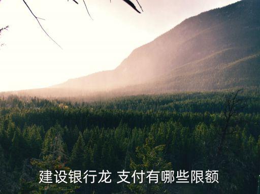 龍支付取款能取多少錢