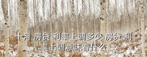 房貸利率上浮10%是貴了多少