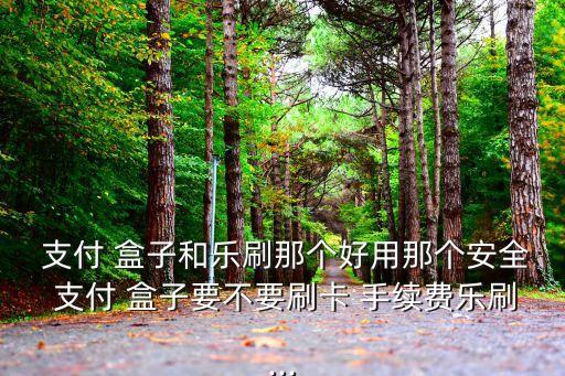  支付 盒子和樂刷那個好用那個安全 支付 盒子要不要刷卡 手續(xù)費樂刷...