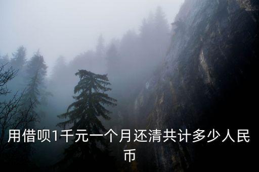 用借唄1千元一個(gè)月還清共計(jì)多少人民幣
