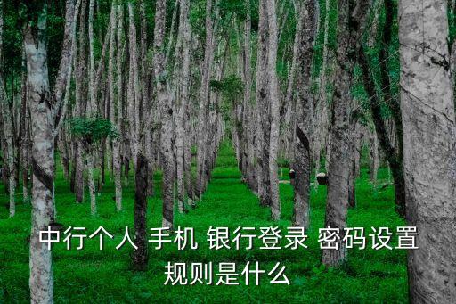 手機銀行密碼是多少位數(shù),一般手機銀行登錄密碼是多少