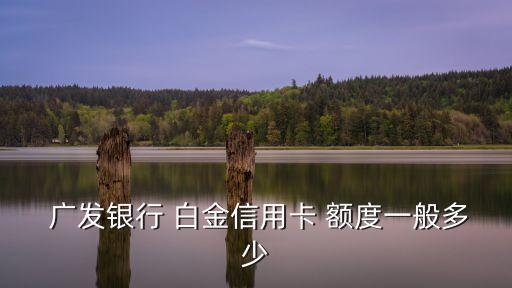 廣發(fā)白金額度最高額度是多少錢,廣發(fā)無(wú)限卡額度最高額度