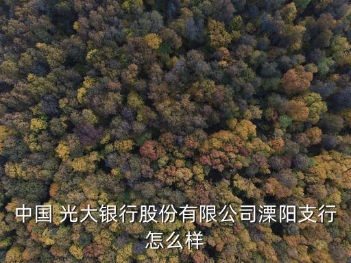 中國 光大銀行股份有限公司溧陽支行怎么樣