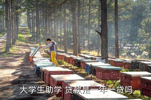  大學生助學 貸款是一年一貸嗎