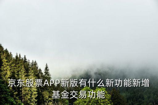 003194最新凈值多少,基金003194今日凈值