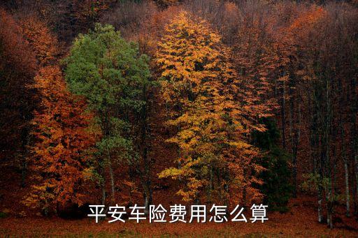 平安車險(xiǎn)費(fèi)用怎么算