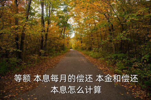  等額 本息每月的償還 本金和償還 本息怎么計算