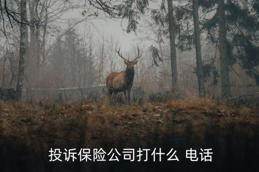  投訴保險(xiǎn)公司打什么 電話
