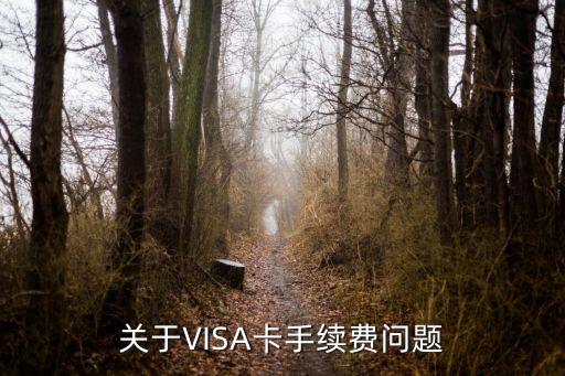 關于VISA卡手續(xù)費問題