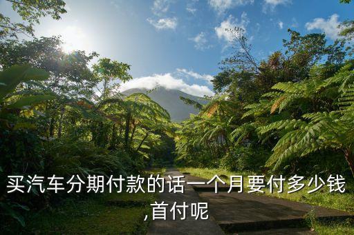 買汽車分期付款的話一個(gè)月要付多少錢,首付呢