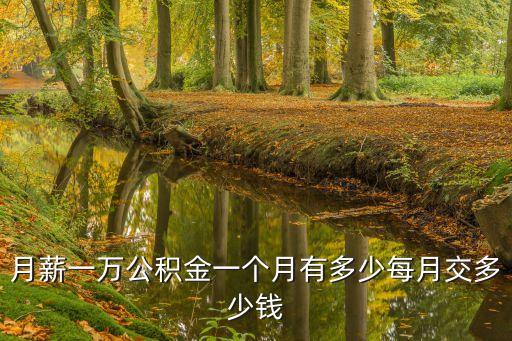 工資1w 存多少錢,上海工資1w稅后多少
