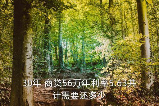 商貸必須每月還多少,微粒貸必須每月還嗎